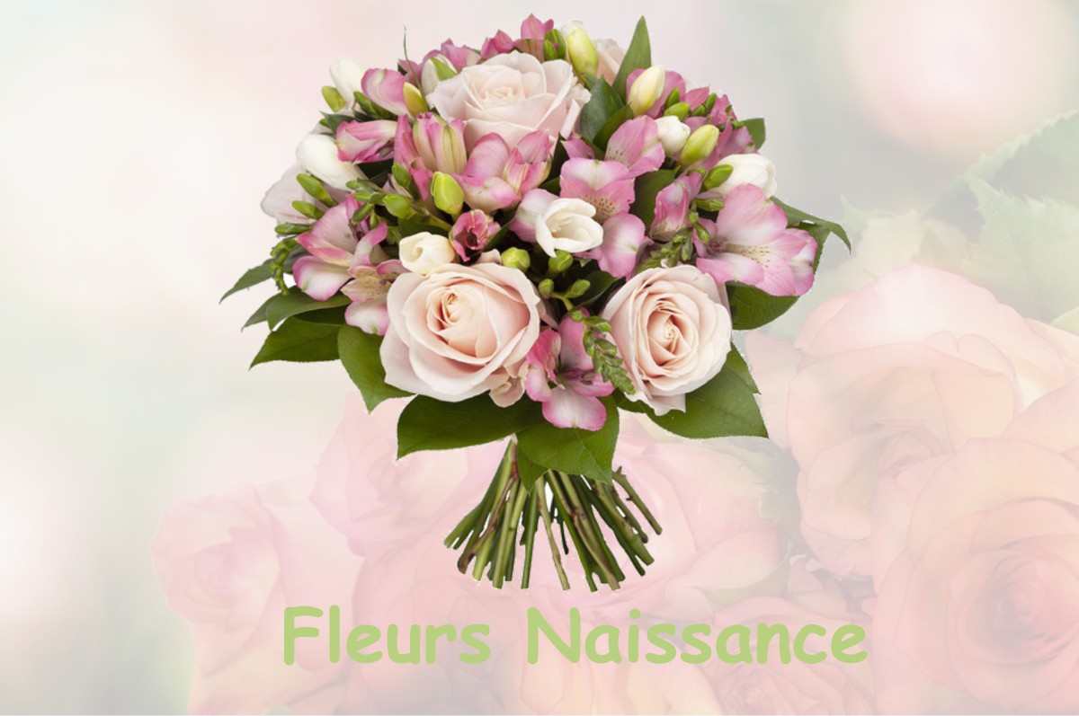 fleurs naissance SAINT-GEORGES-DE-ROUELLEY